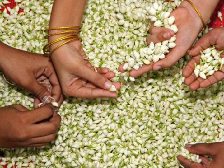 நீர் சுருக்கு நீர் எரிச்சல் போன்றவை சரியாகும்