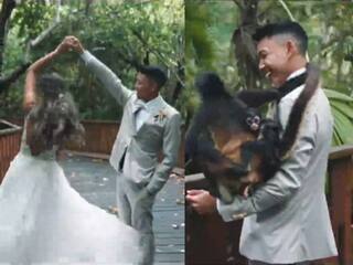 Funny Video: ਪ੍ਰੀ-ਵੈਡਿੰਗ ਫੋਟੋਸ਼ੂਟ ਦੌਰਾਨ ਆ ਗਈ ਬੰਦਰੀਆ! ਲਾੜੀ ਨੂੰ ਹਟਾ ਕੇ ਲਾੜੇ ਨੂੰ ਪਾਈ ਜੱਫੀ