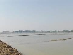 सरयू नहर का पानी ओवरफ्लो होने से सैकड़ों बीघा फसल बर्बाद, एक हफ्ते पहले ही की थी बुआई