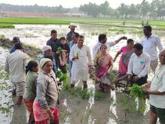 Himanshu Shukla: వరినాట్లు వేసిన కలెక్టర్ హిమాన్షు శుక్లా, కుమారుడితోనూ వేయిస్తూ!