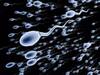 Low Sperm Count : இந்திய ஆண்களுக்கு விந்தணு குறைபாடுகள் இருப்பின், அதற்கான காரணங்கள் என்ன? சிகிச்சை என்ன?