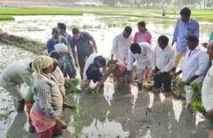 Himanshu Shukla: వరినాట్లు వేసిన కలెక్టర్ హిమాన్షు శుక్లా, కుమారుడితోనూ వేయిస్తూ!