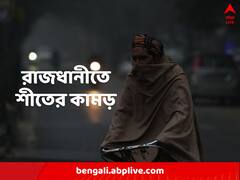 Weather Update: ঠান্ডার খোঁজে বাংলা, শীতে-কুয়াশায় কাঁপছে দিল্লি-পাটনা