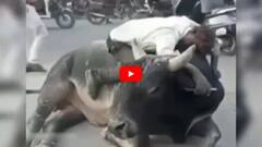 Funny Video: ਬਲਦ ਨੇ ਸ਼ਰਾਬੀ 'ਤੇ ਕੁਝ ਇਸ ਤਰ੍ਹਾਂ ਕੀਤੀ ਪਿਆਰ ਦੀ ਵਰਖਾ, ਦੇਖਣ ਵਾਲੇ ਰਹੀ ਗਏ ਹੈਰਾਨ