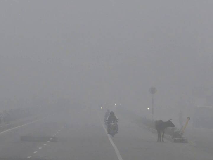 Bharatpur Weather: भरतपुर में सुबह के समय कोहरे का आलम यह था कि महज बीस मीटर की दूरी पर कुछ भी देख पाना मुश्किल था. इससे सड़कों पर गुजरने वाले वाहनों की रफ़्तार थम गई, जिससे लोगों को काफी दिक्कत है.