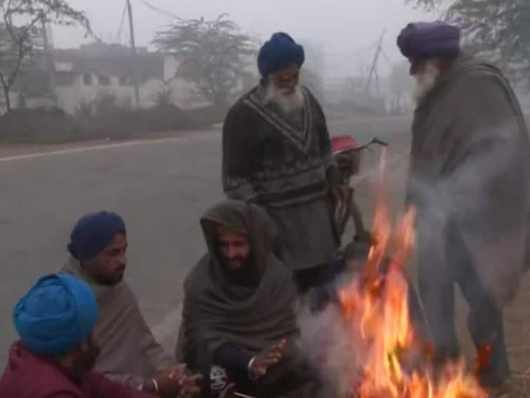 Cold Wave Thrives In Punjab And Haryana Bathinda Records Lowest Temp At 3 Degree Celsius Cold Wave Thrives In Punjab & Haryana, Bathinda Records Lowest Temp At 3.5 Degree Celsius