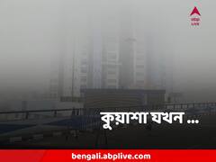 Howrah Winter : এক পলকে মনে হবে 'অদৃশ্য নবান্ন', দেখুন ছবি