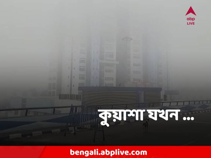 Howrah Winter : সকাল থেকেই কুয়াশা ঘন জেলা থেকে জেলা। সোমবার ভোর থেকেই হাওড়া শহর এলাকা কুয়াশার চাদরে ঢেকে যায়।