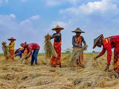 विदेश में भारत के इन चीजों की ज्यादा डिमांड, 30 बिलियन डॉलर की कृषि उत्पादों का किया निर्यात 