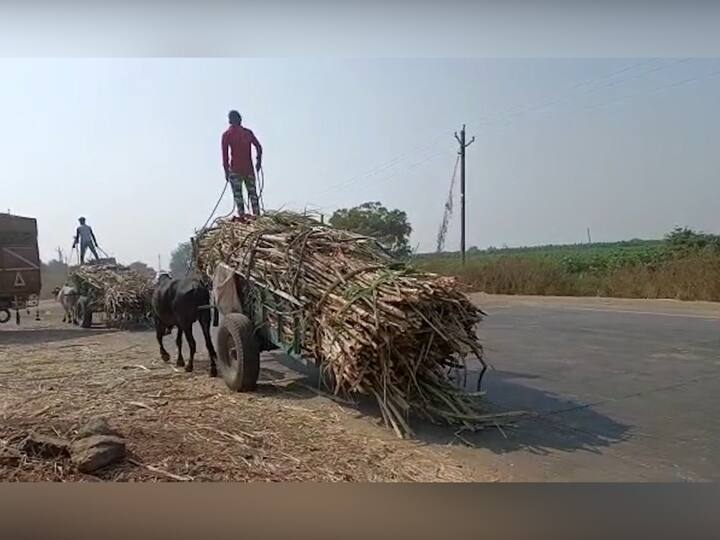 ऊस तोडणीसाठी राज्यभरातून मजूर एका जिल्ह्यातून दुसऱ्या जिल्ह्यात स्थलांतरित होत असतात. हे तात्पुरता स्वरुपाचे स्थलांतर असले तरी ऊसतोड मजूर जास्त साहित्य सोबत ठेवत नाहीत. त्यामुळे ते राहतात त्या ठिकाणी त्यांना अनेक समस्यांना तोंड द्यावं लागत असतं.