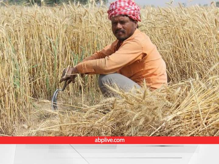 Crop Insurance COmpany Listed Under PMFBY for Chhattisgarh farmers Along with Contact Details for Fasal beema Crop Insurance: छत्तीसगढ़ के अलग-अलग जिलों में कौन-सी कंपनी फसल का बीमा करती हैं, यहां जानें फोन नंबर से लेकर सब कुछ