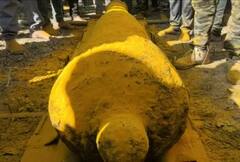 दोन टनाची शिवकालीन तोफ द्रोणागिरी किल्ल्यावर