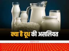 पैकेट वाला दूध खरीदते हैं तो आज जान लें क्या है इसकी असलियत, क्यों टेट्रा पैक में कई दिनों तक खराब नहीं होता दूध