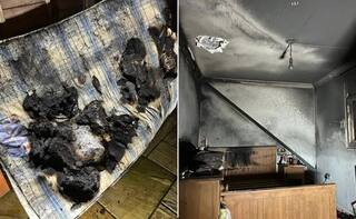 Viral Video: ਕੁੱਤੇ ਨੇ ਗਲਤੀ ਨਾਲ ਆਨ ਕਰ ਦਿੱਤਾ ਹੇਅਰ ਡਰਾਇਰ, ਪਲਾਂ 'ਚ ਤਬਾਹ ਹੋਇਆ ਸੁਪਨਿਆਂ ਦਾ ਘਰ!