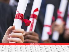 बैचलर पार्टी...बैचलर डिग्री! आखिर इस 'बैचलर' शब्द के कितने मतलब होते हैं?