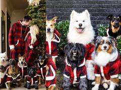 பாய் ஃப்ரெண்ட், 6 செல்ல நாய்களுடன் மேட்சிங் உடையில் செலிபிரேஷன்..! இணையத்தை கலக்கும் விலங்கு நல ஆர்வலர்..!