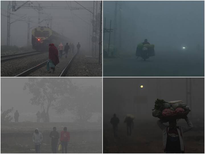 The National Capital Region, Haryana, Punjab, west Uttar Pradesh, and north Rajasthan on Monday experienced bitting cold as well as dense fog as the cold wave continues to sweep North India.