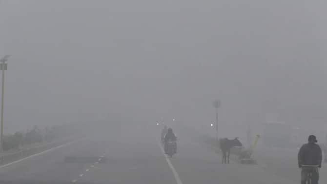 Rajasthan Weather Update Bharatpur Dense Fog Visibility 20 Meters Know  India Meteorological Department Forecast ANN | In Pics: भरतपुर में घने  कोहरे ने रोकी वाहनों की रफ्तार, कड़ाके की ठंड ने लोगों