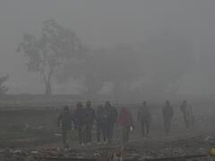 Cold Wave: उत्तर भारत के इन राज्यों में अगले पांच दिन ठंड करेगी परेशान, IMD ने जारी किया अलर्ट