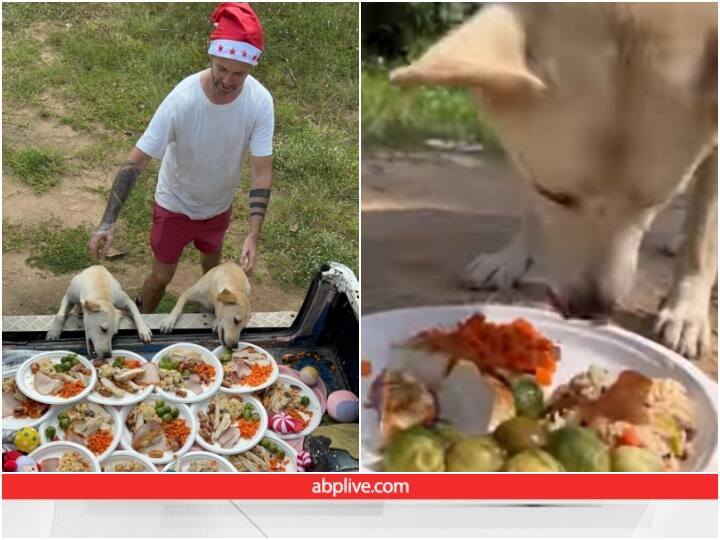 Niall Harbison cooks lavish meal for street dogs in Thailand for Christmas Video: क्रिसमस पर आवारा कुत्तों के लिए सांता क्लॉज बना शख्स, खिलाया लजीज खाना
