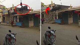 Viral Video: ਘਰ ਦੀ ਛੱਤ 'ਤੇ ਚੜ੍ਹਿਆ ਗੁੱਸੇ 'ਚ ਆਇਆ ਬਲਦ, ਉਥੋਂ ਹੀ ਸੜਕ 'ਤੇ ਮਾਰੀ ਛਾਲ, ਦੇਖੋ ਫਿਰ ਕੀ ਹੋਇਆ