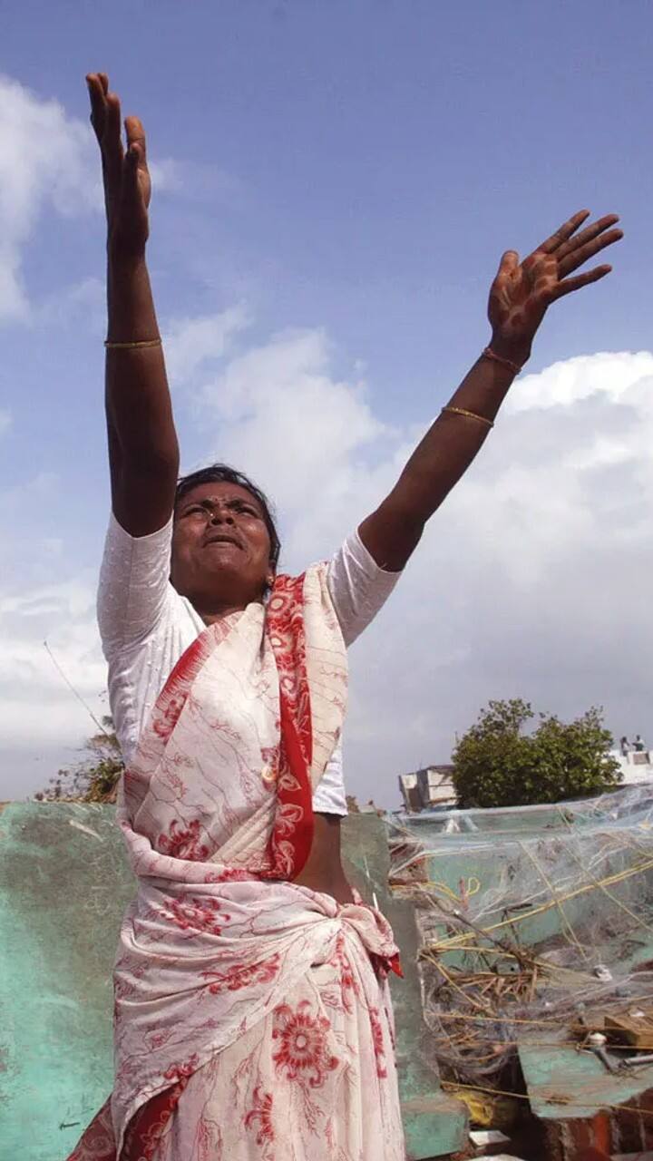 தமிழகத்தில் சென்னை முதல் கன்னியாகுமரி வரை கிழக்கு கடலோர பகுதிகள் சுனாமி தாக்குதலில்  கடுமையாக பாதிக்கப்பட்டன.இதில் 10 ஆயிரத்துக்கும் அதிகமானோர் இறந்த நிலையில், அதிகபட்சமாக நாகப்பட்டினத்தில் 6,065 பேரும், கடலூரில் 610 பேரும், சென்னையில் 206 பேரும் உயிரிழந்தார்கள்.