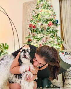 Nazriya: ஜிங்கிள் பெல்ஸ்..ஜிங்கிள் பெல்ஸ்...நடிகை நஸ்ரியாவின் க்யூட் கிறிஸ்துமஸ் க்ளிக்ஸ் !