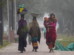 Gujarat Weather: સૌરષ્ટ્ર-કચ્છમાં થશે કોલ્ડવેવનો અહેસાસ, જાણો ઠંડીથી ક્યારે મળશે આંશિક રાહત