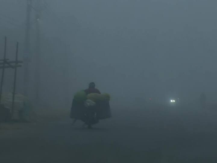 Fog and cold wave conditions in Punjab's Amritsar as minimum temperature recorded at 6.5 degrees Celcius today. Bathinda in Punjab and Bikaner in Rajasthan reported zero visibility, while it dropped to 50 metres and below at Ambala, Hisar, Patiala, Ganganagar, Churu and Bareilly. (ANI Photo)
