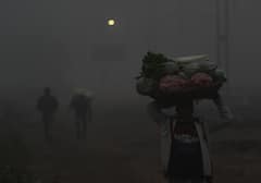 Cold Wave Sweeps North India, Biting Cold & Dense Fog In Parts Of Delhi, Punjab, UP & More — PICS