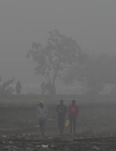 Cold Wave Sweeps North India, Biting Cold & Dense Fog In Parts Of Delhi, Punjab, UP & More — PICS