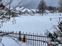 अमेरिका में बर्फीले तूफान ने बरपाया कहर, बर्थडे पर जश्न मनाने निकले शख्स की बर्फ में जमने से मौत