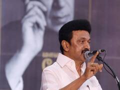 'राहुल गांधी के भाषणों से मच जाती है खलबली', ऐसा क्यों बोले तमिलनाडु के CM