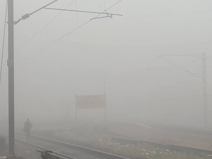Dense fog engulfs parts of Moradabad lowering visibility in many areas. As per IMD, Moradabad will witness a minimum temperature of 7°C & a maximum temperature of 18°C while dense fog will continue to persist today. (ANI Photo)