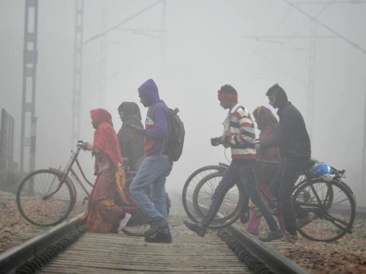 Cold Wave In India: ભારતમાં કોલ્ડ વેવનો પ્રકોપ ચાલુ છે. ક્રિસમસના દિવસે દિલ્હીમાં શિયાળાનો સૌથી ઓછો તાપમાન નોંધાયો હતો.