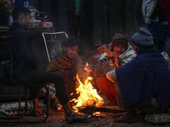 दिल्ली-पंजाब में अगले 48 घंटे रहेगा घना कोहरा, घर से निकलने से पहले पढ़ें IMD का अपडेट