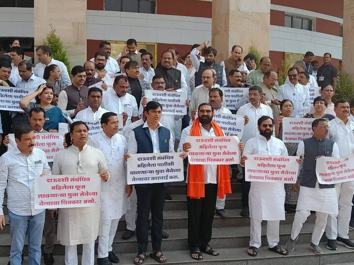 दाऊदशी संबंधित महिलेला फेूस लावणाऱ्या युवा सेनेच्या नेत्याचा धिक्कार असो, असे फलकही सत्ताधारी आमदारांच्या हातात दिसले.