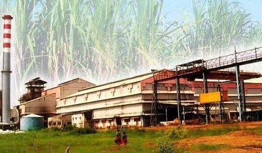 15 ऑक्टोबर 2022 पासून राज्यात ऊसाचा गाळप हंगाम सुरु करण्यात आला. यंदाच्या हंगामासाठी ऊस लागवड सुमारे 14 लाख 87 हजार हेक्टरवर आहे. राज्यात ऊस लागवडीचे क्षेत्र वाढले आहे. यंदा सरासरी 95 टन प्रति हेक्टर ऊस उत्पादन अपेक्षित आहे. या हंगामात सुमारे 203 साखर कारखाने सुरू झाले आहेत.