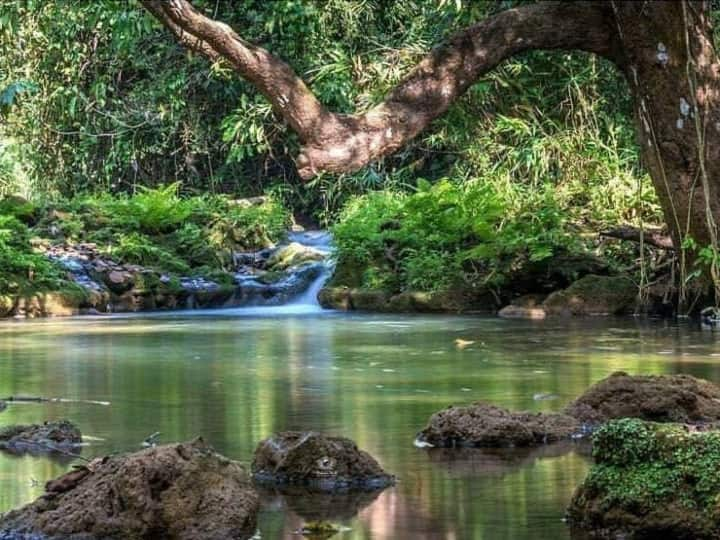 नए साल का जश्न मनाने के लिए छत्तीसगढ़ के बस्तर के पर्यटन स्थलों में बड़ी संख्या में दूर दराज से पर्यटक पहुंच रहे हैं और यहां की खूबसूरत वादियों के साथ वाटरफॉल्स और हिल स्टेशनों का लुत्फ उठा रहे हैं.