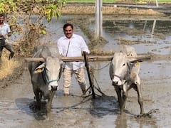 Minister Errabelli: గొర్రు చేతపట్టి పొలం రొప్పిన మంత్రి ఎర్రబెల్లి దయాకర్ రావు