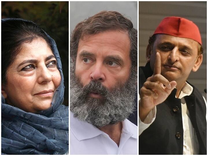 Bharat Jodo Yatra SP chief Akhilesh Yadav RLD Jayant Chaudhary skip Congress March Omar Abdullah Farooq Abdullah PDP Kashmir jk Rahul Gandhi Bharat Jodo Yatra: Akhilesh Yadav, Jayant Chaudhary To Skip Rahul's March, All Three Ex-CMs to Join In Kashmir