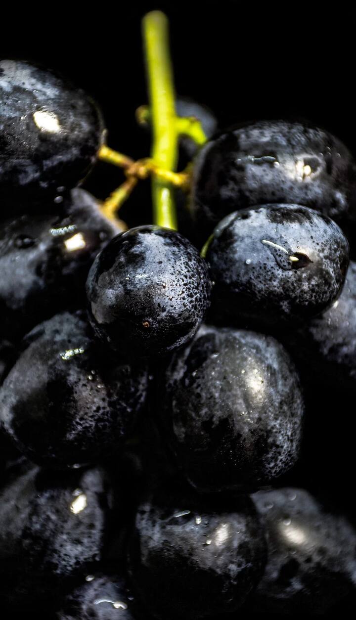 फळांचे सेवन आपल्या डॉक्टरांच्या सल्ल्यानुसार करावे. ही माहिती वैद्यकीय सल्ला नाही.