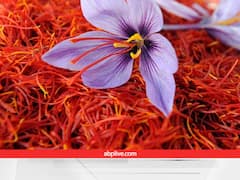 केसर उत्पादन में आई क्रांति....एक दशक में ढाई गुना तक बढ़ गई पैदावार, जानें कैसे हुआ ये कमाल