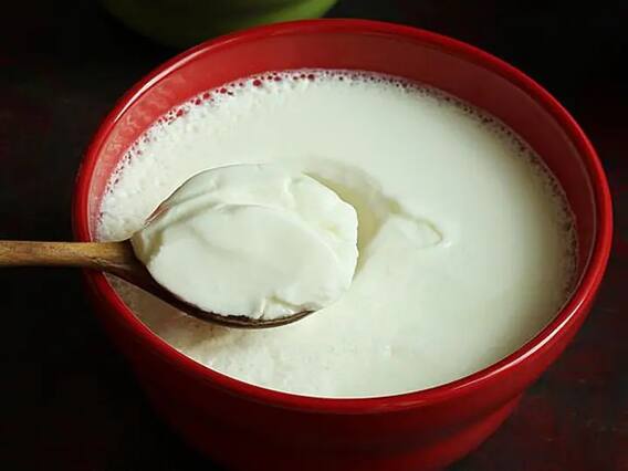 Salt In Curd : ਦਹੀਂ 'ਚ ਨਮਕ ਮਿਲਾ ਕੇ ਖਾਣ 'ਚ ਆਉਂਦਾ ਹੈ ਸੁਆਦ ਤਾਂ ਜਾਣੋ ਇਹ ਗੱਲ, ਨਹੀਂ ਤਾਂ ਹੋ ਸਕਦੀ ਇਹ ਸਮੱਸਿਆ Salt In Curd : ਦਹੀਂ 'ਚ ਨਮਕ ਮਿਲਾ ਕੇ ਖਾਣ 'ਚ ਆਉਂਦਾ ਹੈ ਸੁਆਦ ਤਾਂ ਜਾਣੋ ਇਹ ਗੱਲ, ਨਹੀਂ ਤਾਂ ਹੋ ਸਕਦੀ ਇਹ ਸਮੱਸਿਆ