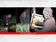 एकीकडं हाडं गोठवणारी थंडी तर दुसरीकडं बिबट्याची भीती, बळीराजा करतोय रात्रीचा दिवस; वाचा संकटांचा पाढा 