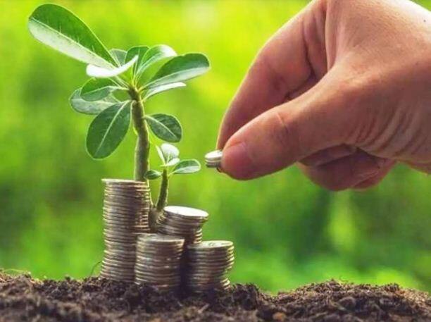 Profitable Farming: Earn 1 lakh rupees every month from 1 acre farm, behind this technique all the tips to become rich have failed Profitable Farming: 1 ਏਕੜ ਦੀ ਖੇਤੀ ਤੋਂ ਹਰ ਮਹੀਨੇ ਕਮਾਓ 1 ਲੱਖ ਰੁਪਏ, ਇਸ ਤਕਨੀਕ ਦੇ ਸਾਹਮਣੇ ਅਮੀਰ ਬਣਨ ਦੇ ਸਾਰੇ ਟਿਪਸ ਹਨ ਫੇਲ੍ਹ