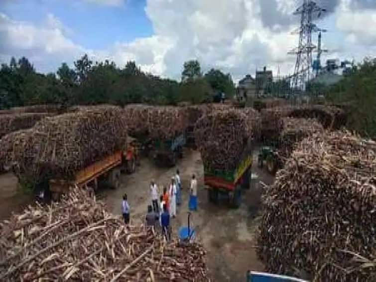 Vehicles including trucks and tractors with  thousands of C the last 8 days at the Cheyyaru Cooperative Sugar Factory செய்யாறு கூட்டுறவு சா்க்கரை ஆலையில்  ஆயிரக்கணக்கான டன் கரும்புகளுடன் காத்திருக்கும் லாரி, டிராக்டா்கள்