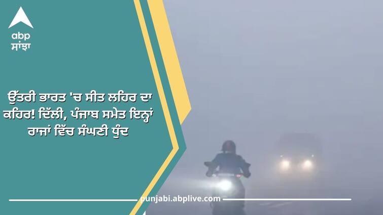 weather forcast today 27 december cold wave continues in north india including fog delhi rajastha up weather Weather Today:  ਉੱਤਰੀ ਭਾਰਤ 'ਚ ਸੀਤ ਲਹਿਰ ਦਾ ਕਹਿਰ! ਦਿੱਲੀ, ਪੰਜਾਬ ਸਮੇਤ ਇਨ੍ਹਾਂ ਰਾਜਾਂ ਵਿੱਚ ਸੰਘਣੀ ਧੁੰਦ, ਜਣੋਂ ਮੌਸਮ ਦੀ ਤਾਜ਼ਾ ਅਪਡੇਟ