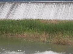 தருமபுரி : கனமழையால் நிரம்பியது வள்ளிமதுரை வரட்டாறு தடுப்பணை