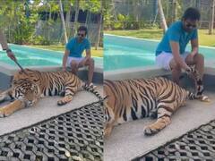 Santhanam: ''இதுக்கு பேர்தான் புலி வாலை பிடிக்கிறதா''.. சர்ச்சையில் சிக்கிய சந்தானம்.. கேள்விகளால் இறுக்கும் நெட்டிசன்ஸ்!